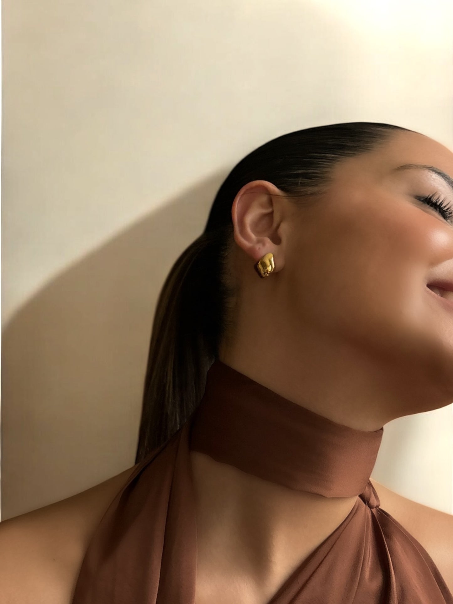 Twin Pair Earrings