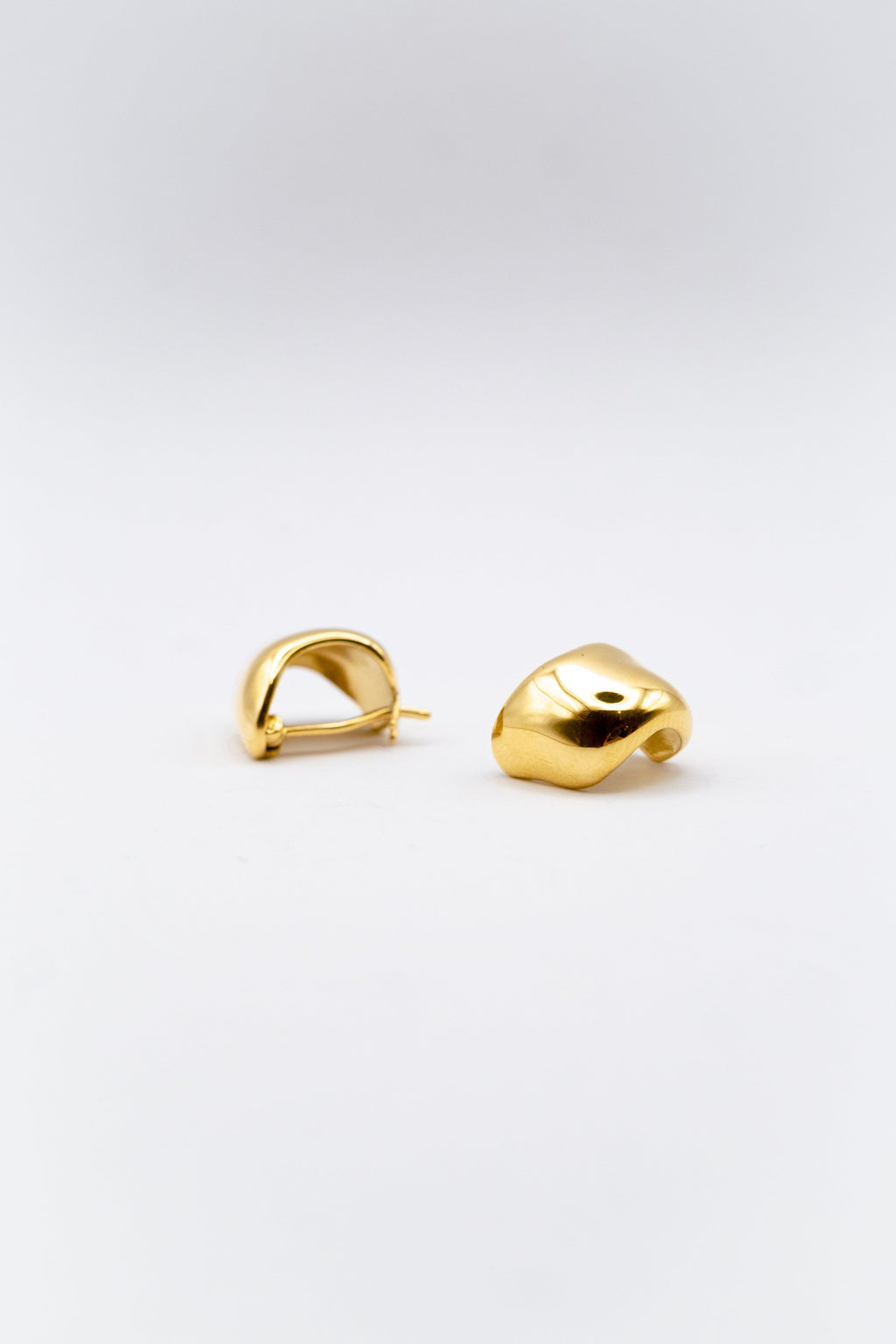 Twin Pair Earrings