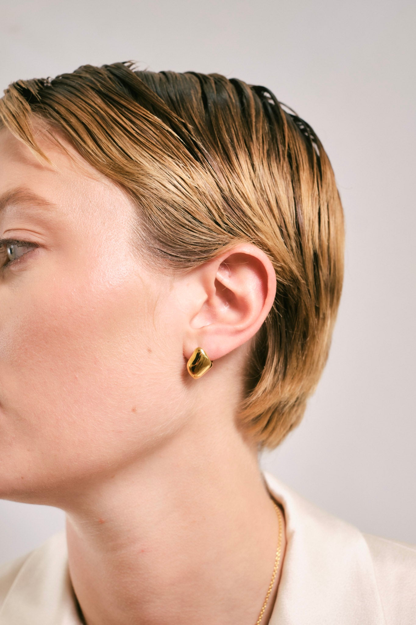 Twin Pair Earrings