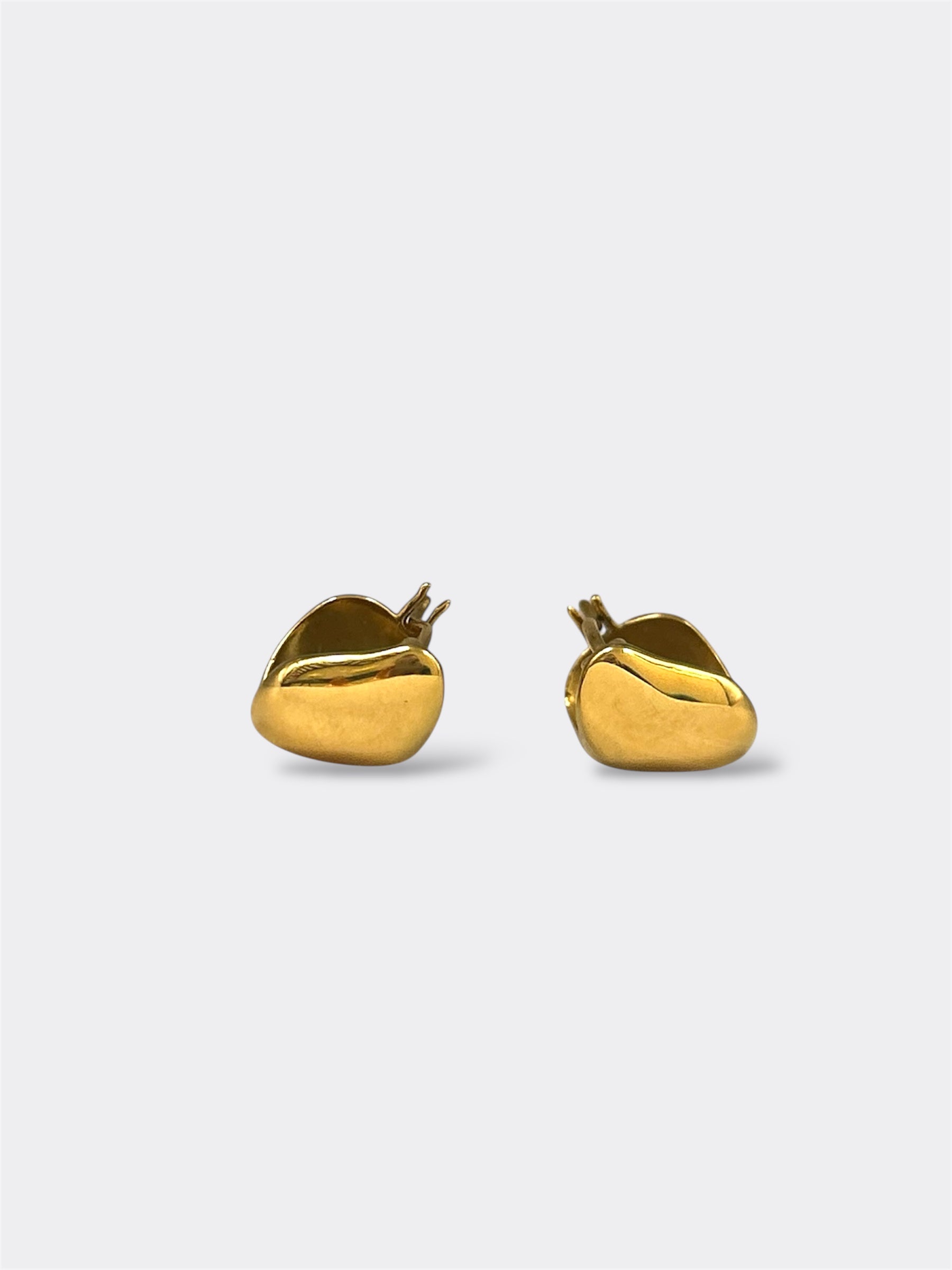 Twin Pair Earrings